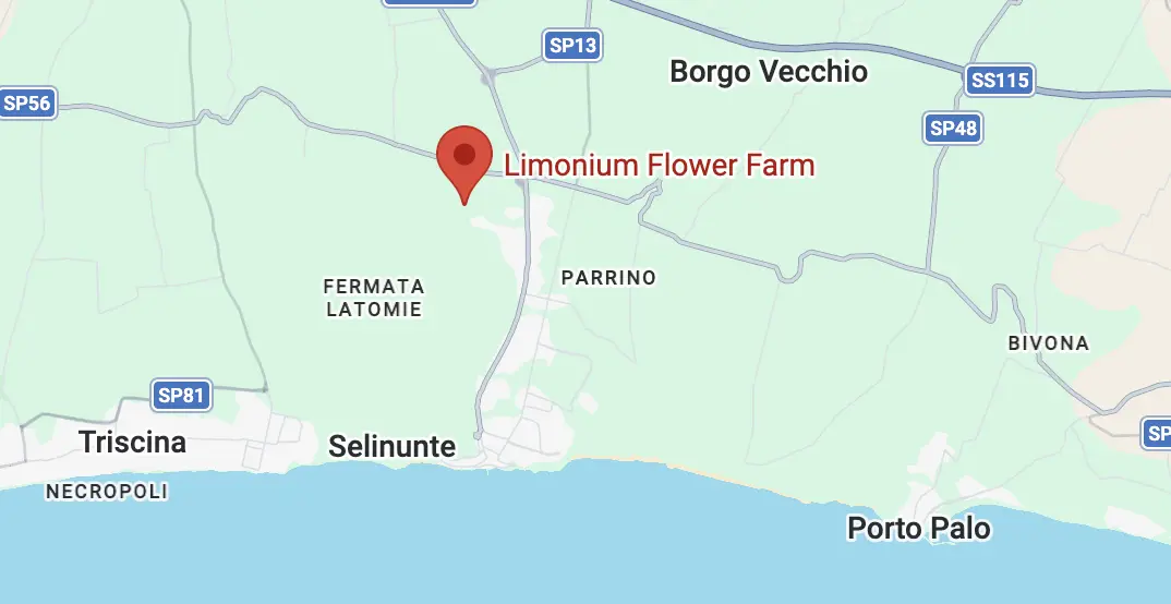 Mappa - Contrada Mortilluzzi, Selinunte